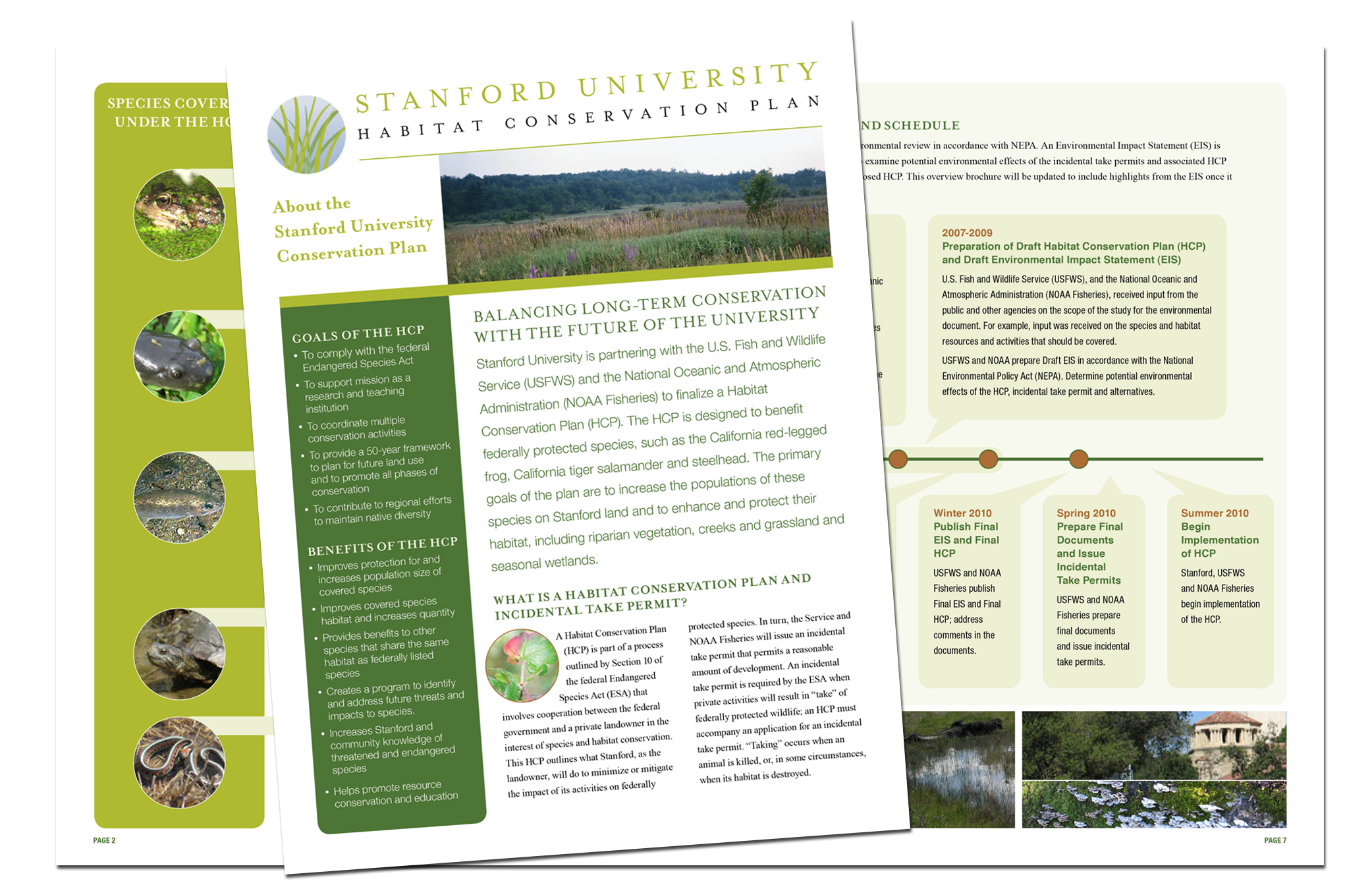Stanford Habitat Brochures